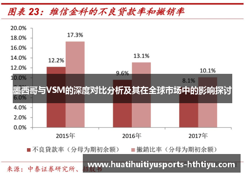 墨西哥与VSM的深度对比分析及其在全球市场中的影响探讨
